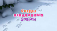 Следы невиданных зверей